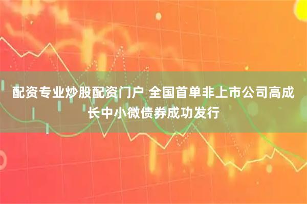配资专业炒股配资门户 全国首单非上市公司高成长中小微债券成功发行