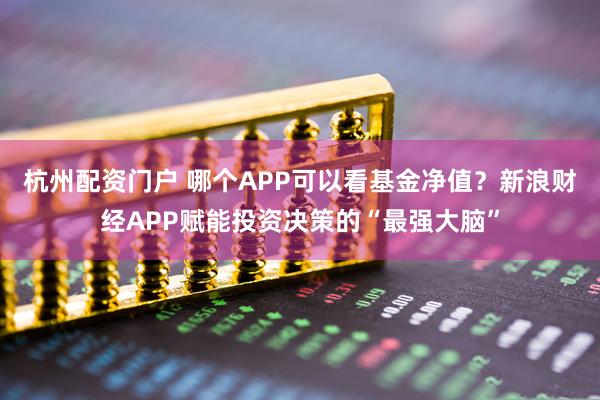 杭州配资门户 哪个APP可以看基金净值？新浪财经APP赋能投资决策的“最强大脑”