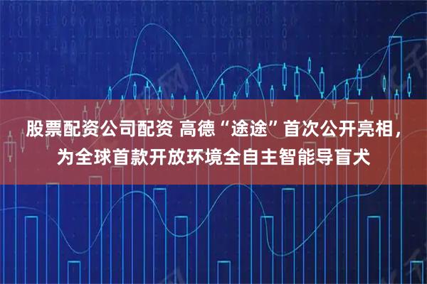 股票配资公司配资 高德“途途”首次公开亮相，为全球首款开放环境全自主智能导盲犬